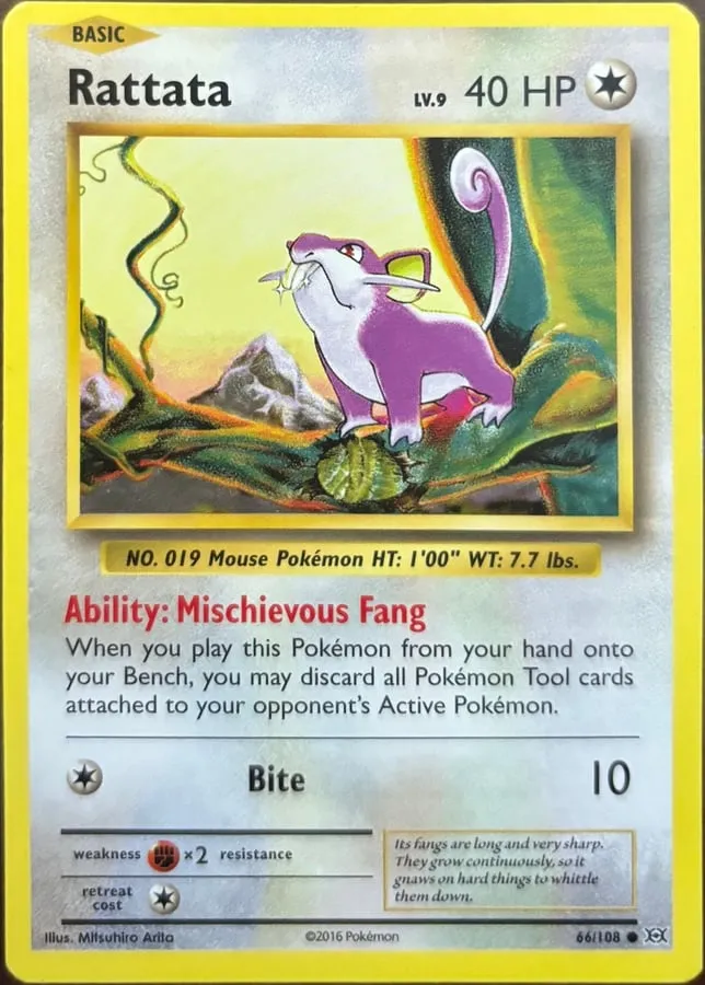 Rattata 66/108, XY: Evolutions