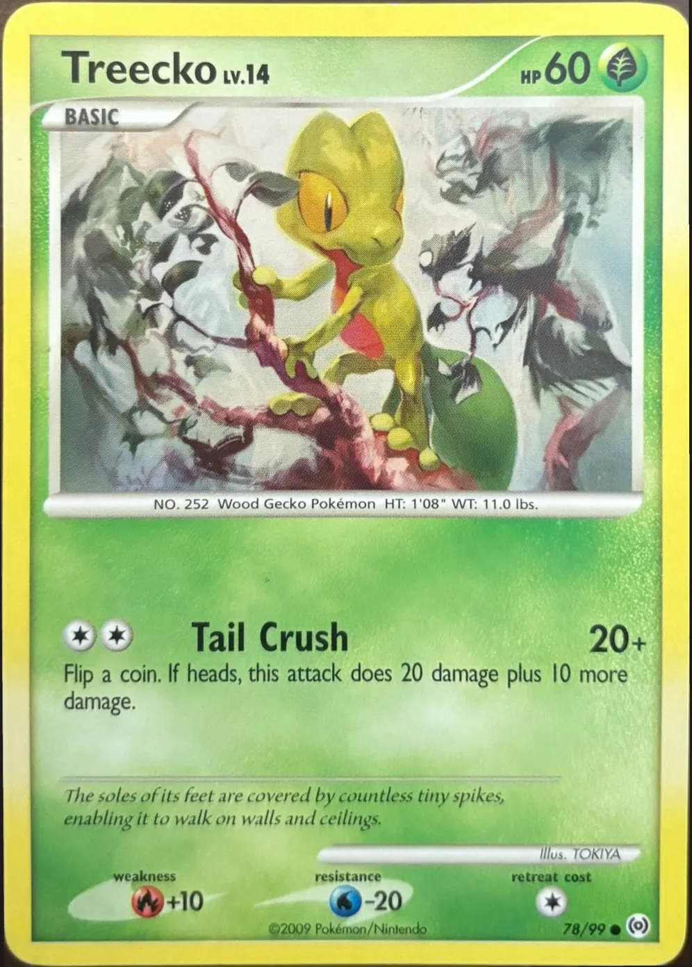 Treecko 78/99, Platinum: Arceus