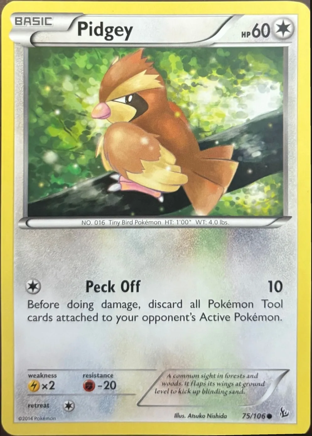 Pidgey 75/106, XY: Flashfire