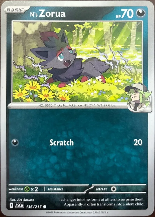 N's Zorua 136/217, Mega Evolution: Ascended Heroes