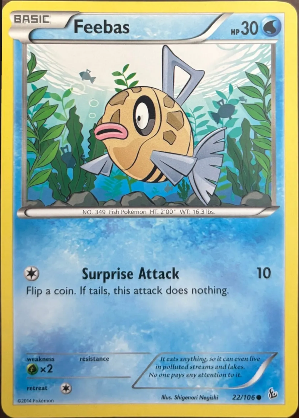Feebas 22/106, XY: Flashfire