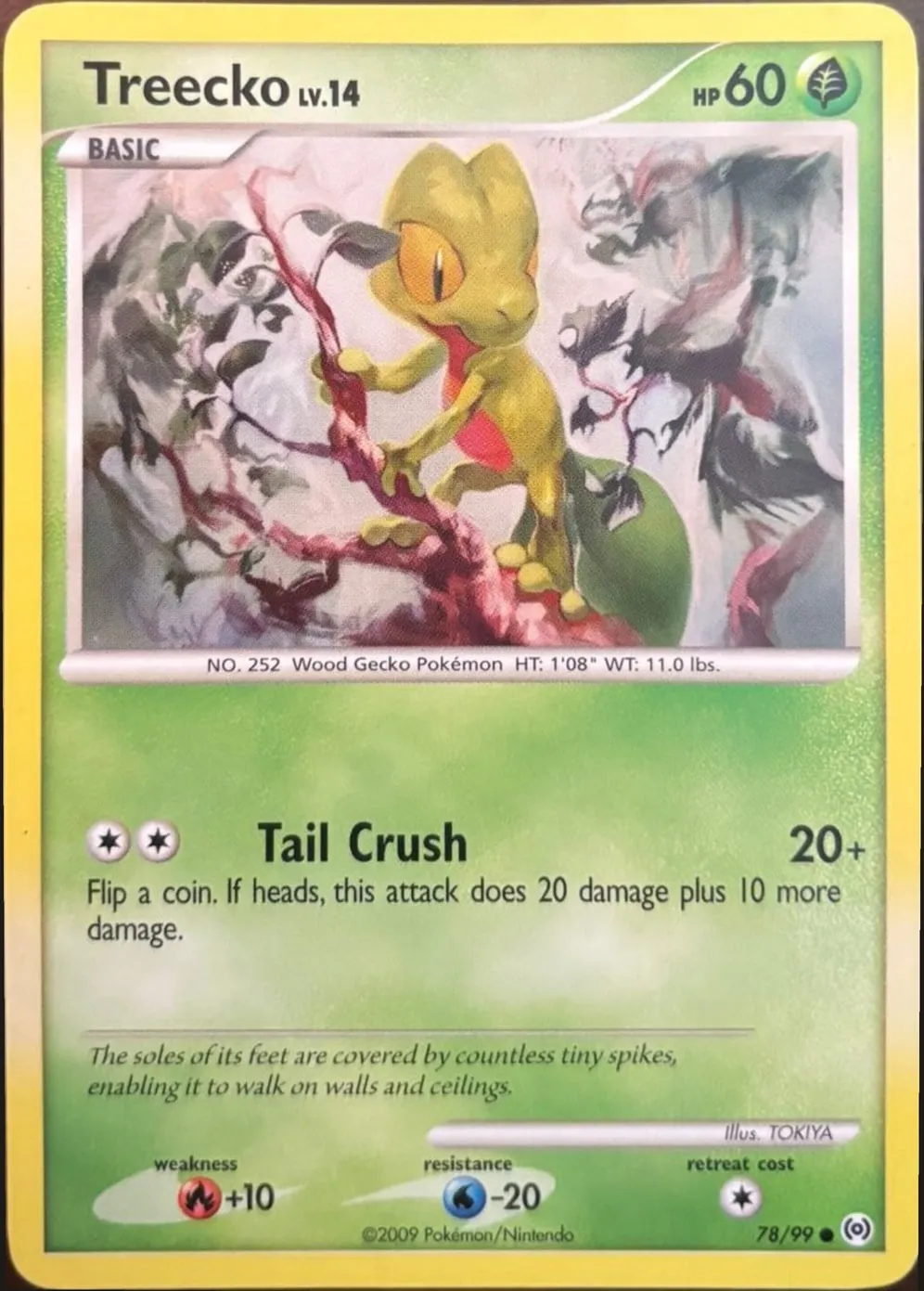 Treecko 78/99, Platinum: Arceus — Front