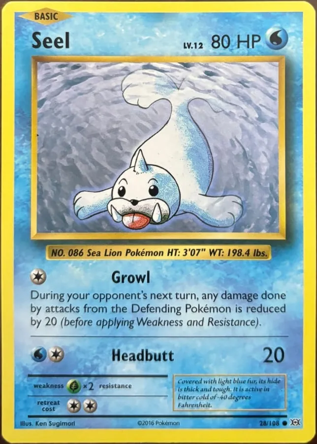 Seel 28/108, XY: Evolutions