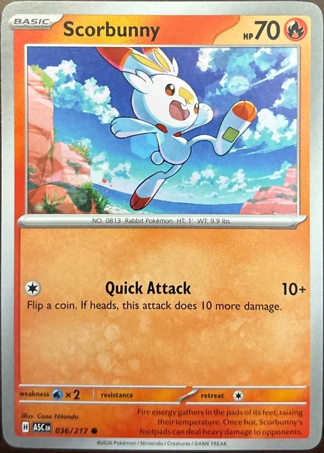 Scorbunny 036/217, Mega Evolution: Ascended Heroes