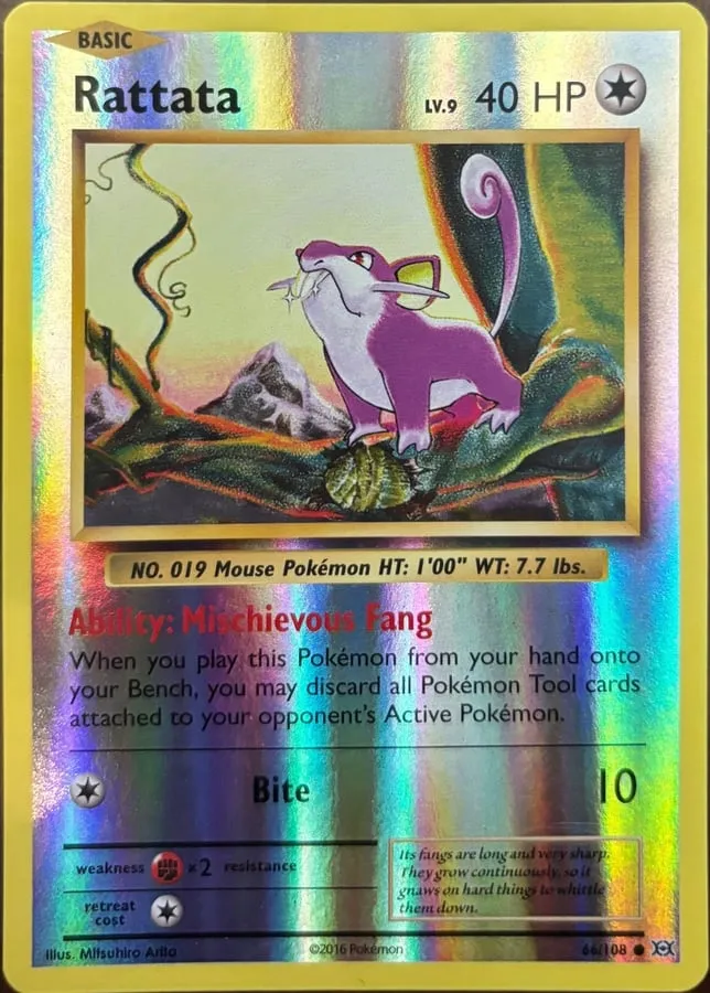 Rattata 66/108, XY: Evolutions