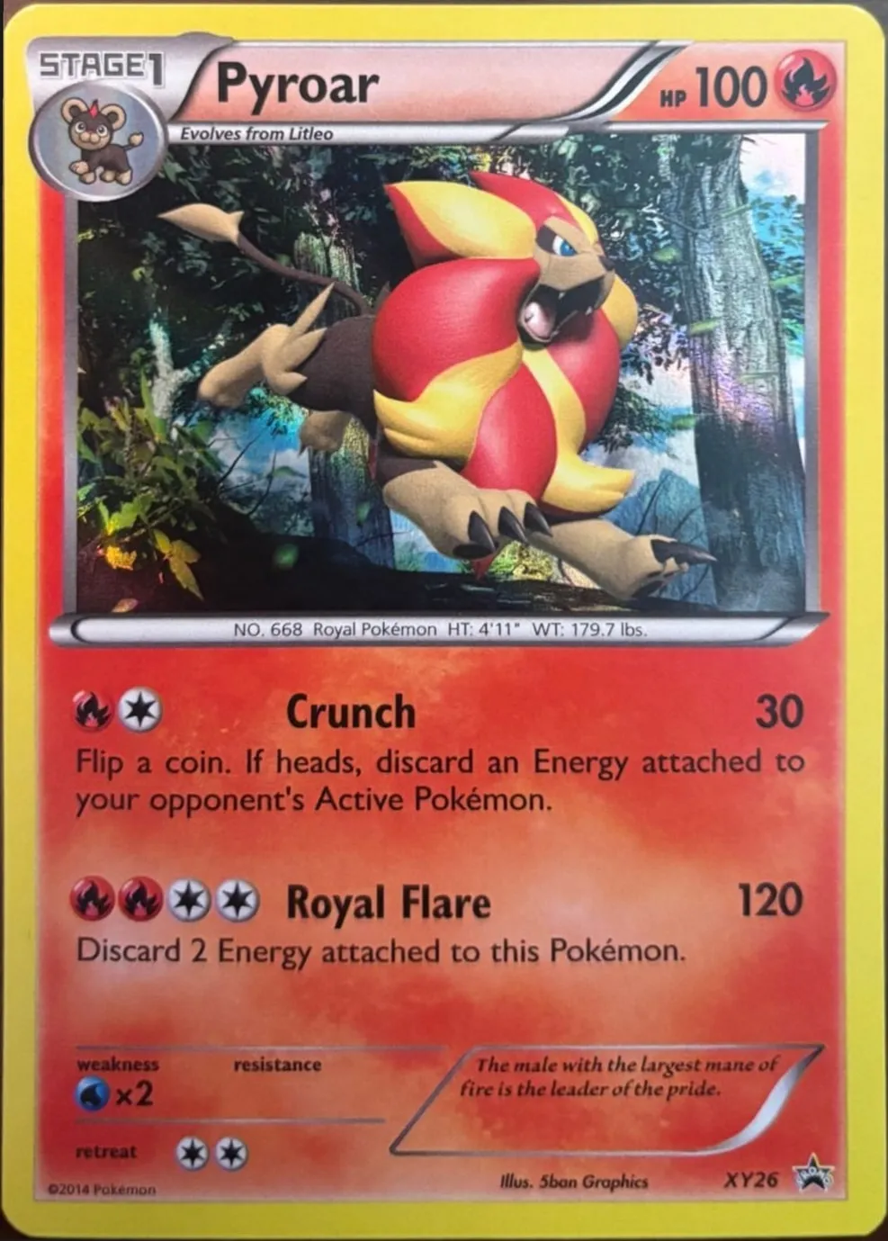Pyroar XY26, XY Black Star Promos